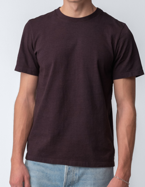 Model guy wearing Staple T-Shirt in cacao torso view