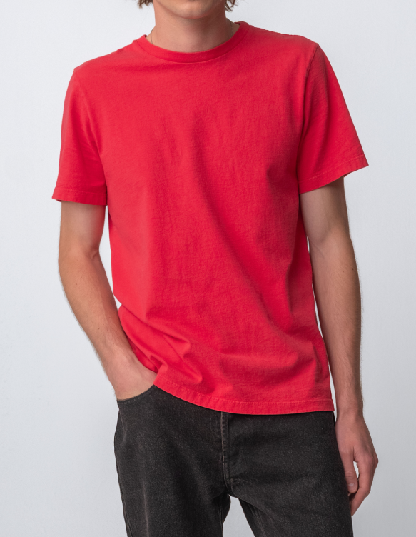 Model wearing Sunwashed Staple T-Shirt in cherry