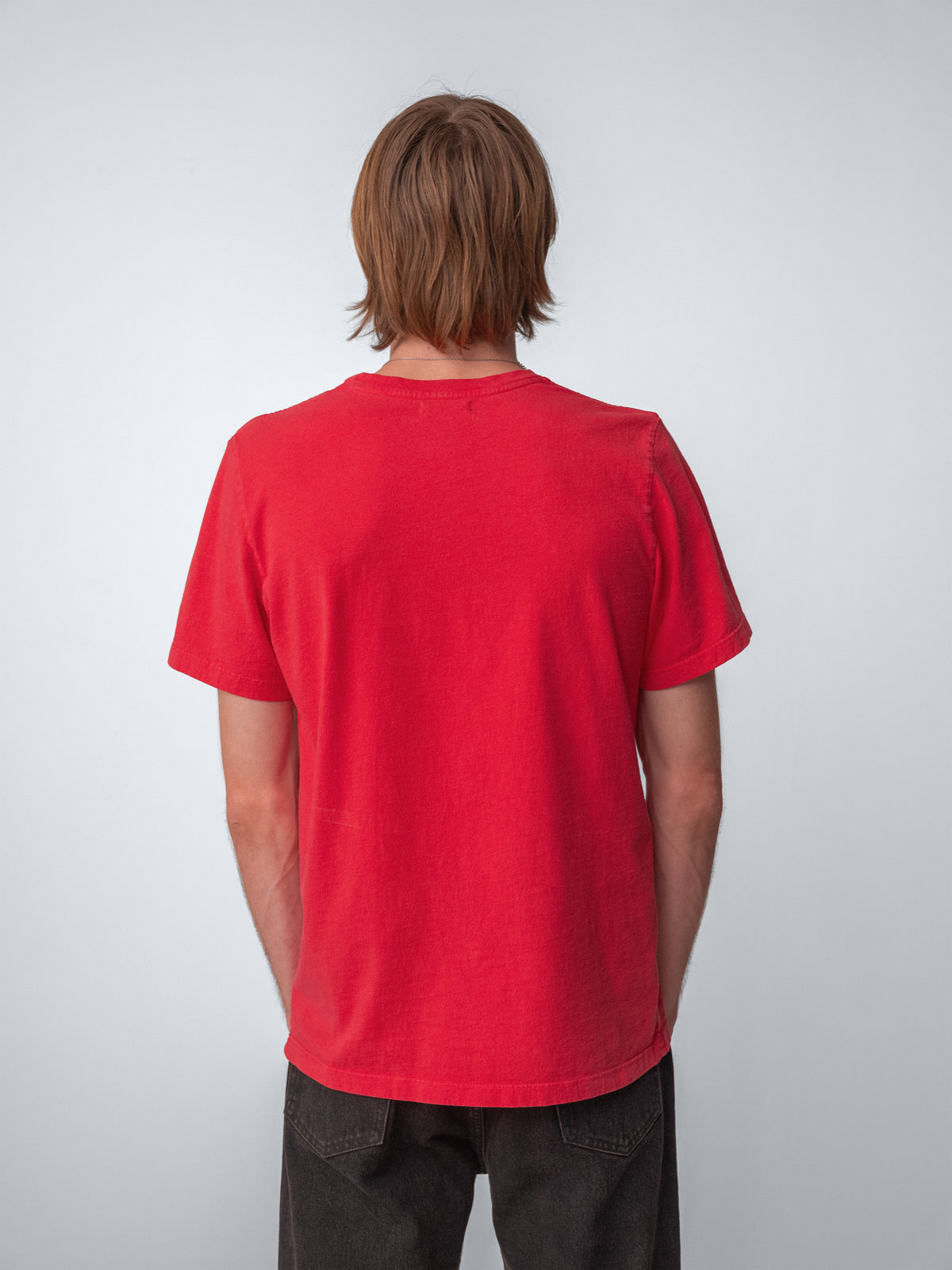 Model wearing Sunwashed Staple T-Shirt in cherry back view